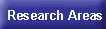 Research Areas